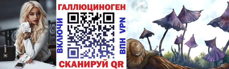 Псилоцибиновые грибы Cubensis  Купить  Красный Сулин 